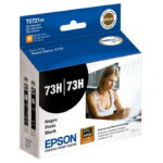 Cartucho EPSON 73H DUAL PACK XL NEGRO C110 (740 PA