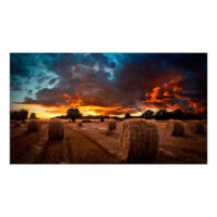 Pantalla Samsung VM55B-U 55" Full HD