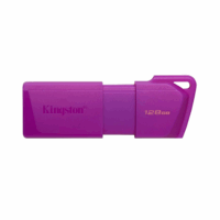 Pen Drive KINGSTON 128GB USB 3.2 DTXM NEON (Purple) (8577)