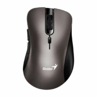 Mouse Genius Ergo 8100S Wireless Champagne