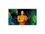 Pantalla Samsung QMC 43" Serie Smart SIG