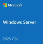 Windows Server CAL 2025 Español 1PK DSP OEI 5 USER CAL