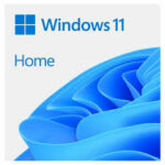 Microsoft Windows 11 Home 64Bit 1 Licencia