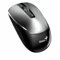 Mouse Genius NX-7125 Iron Gray