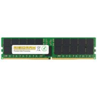 64G KI 5600MHZ DDR5 REG ECC MO