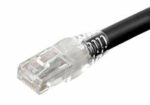 NPC Cat 6, UTP, CM, BK, 2FT