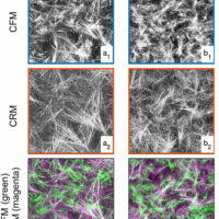LIC HP CENTRAL 25/61/8-12P  1Y