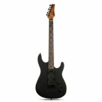 Guitarra Eléctrica Newen SS Black