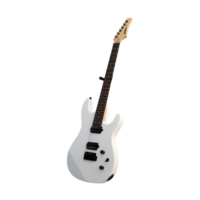 GUITARRA ELECTRICA NEWEN SS BL