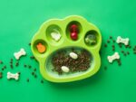 Comedero Lento Petdreamhouse Paw2en1 Verde Perros Y Gatos