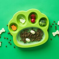 Comedero Lento Petdreamhouse Paw2en1 Verde Perros Y Gatos
