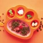 Petdreamhouse Paw 2 En 1 Alimentador Lento Y Almohadilla Color Naranja