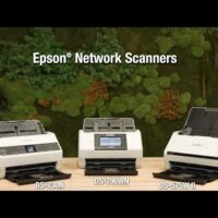 SCANNER EPSON DE DOC WORKFORCE DS-730N 40 PPM RED