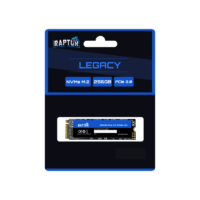 Disco SSD M.2 Raptor 256Gb Legacy NVMe PCIe 3.0 (5378)