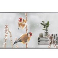 Pantalla Profecional LG 55ew5p-m 55"